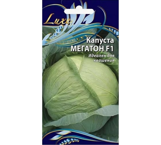 Капуста Сорт Мегатон Характеристика Отзывы И Фото