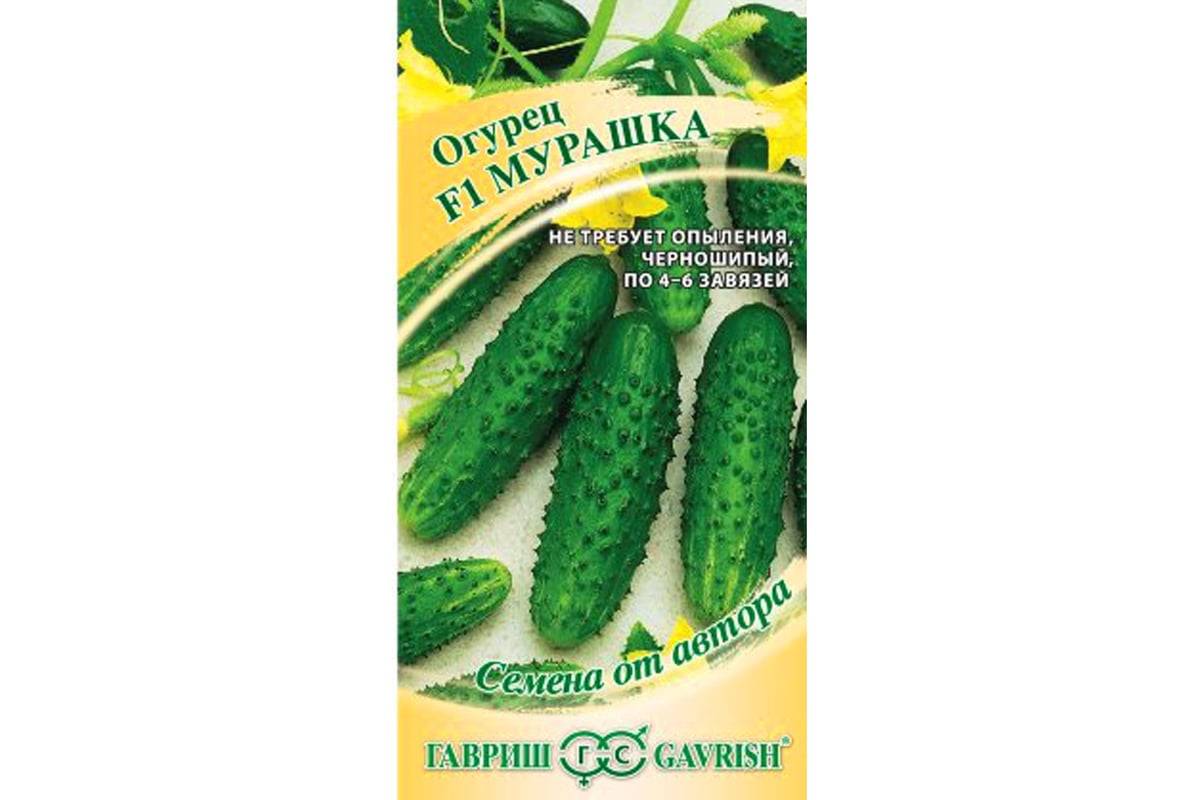 Огурцы Мурашка Отзывы Фото Урожайность Характеристика