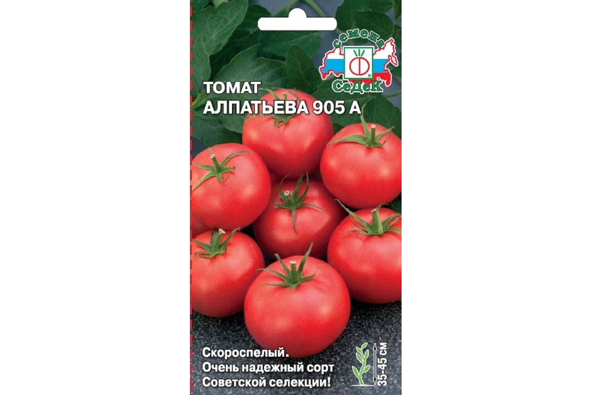 Томат Кукла Отзывы Фото