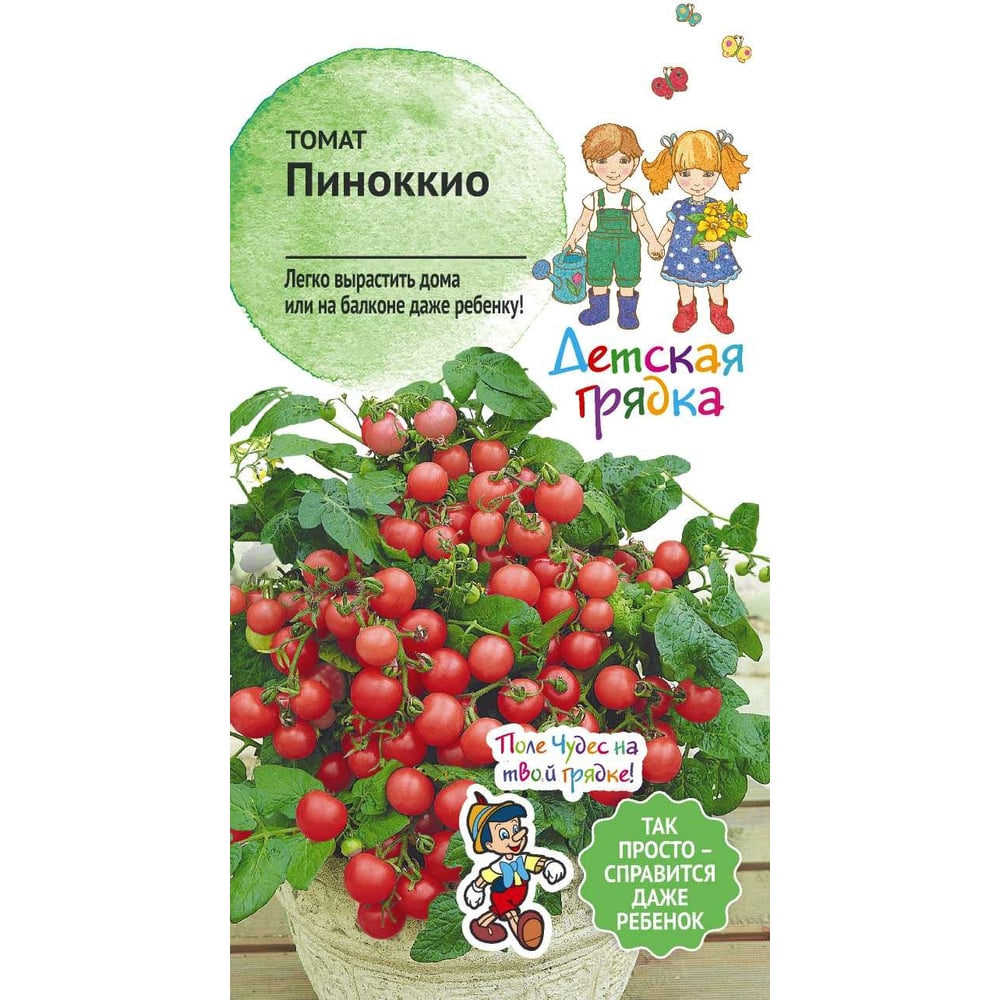Томат Пиноккио Отзывы Фото Урожайность Характеристика