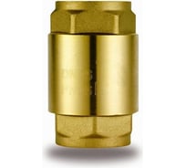 Обратный клапан Rvc 2" с пластиковым седлом 00256