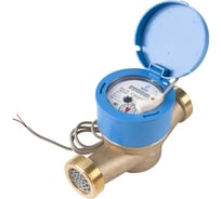 Счетчик воды ДЕКАСТ ОСВХ-32 "НЕПТУН" Класс "С" ДГ с импульсным выходом 76-32-05
