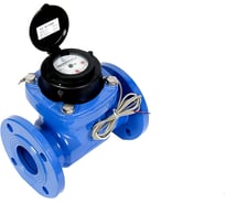 Счетчик воды Декаст СТВХ-65 УК ДГ1 (260 мм) 78-65-19