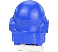 Конденсатоотводчик поплавковый DN.ru КСР Ду25 Ру16 резьбовой, корпус углеродистая сталь D150-00151