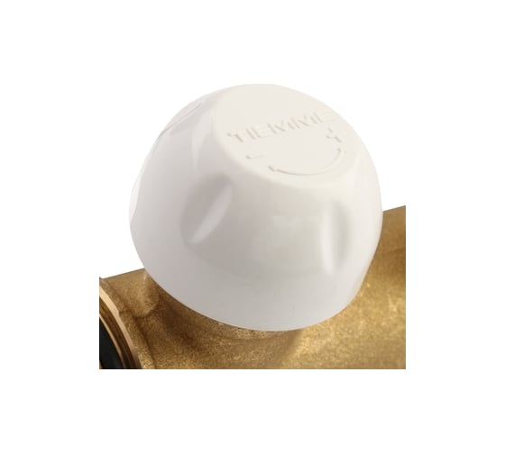 Коллектор Tiemme 2 отвода, термостатический 1"х3/4(18) (латунь) 3040015 / 3046G060502