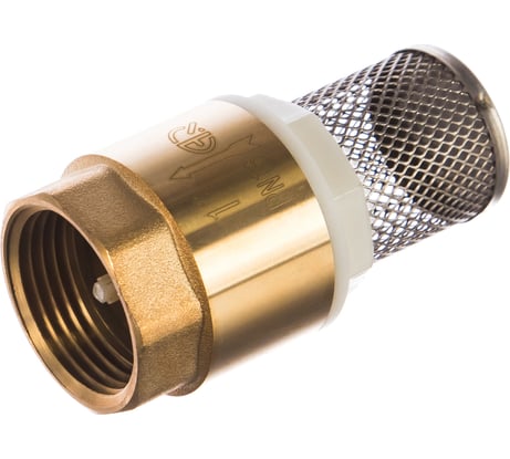 Обратный клапан MasterProf 1", с фильтром ДС.020052