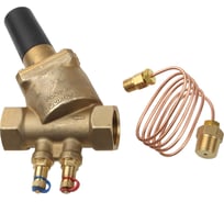 Автоматический балансировочный клапан SANEXT DPV Ду 50 6106