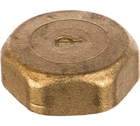 Заглушка ELSEN В 1 латунь EBF02.10