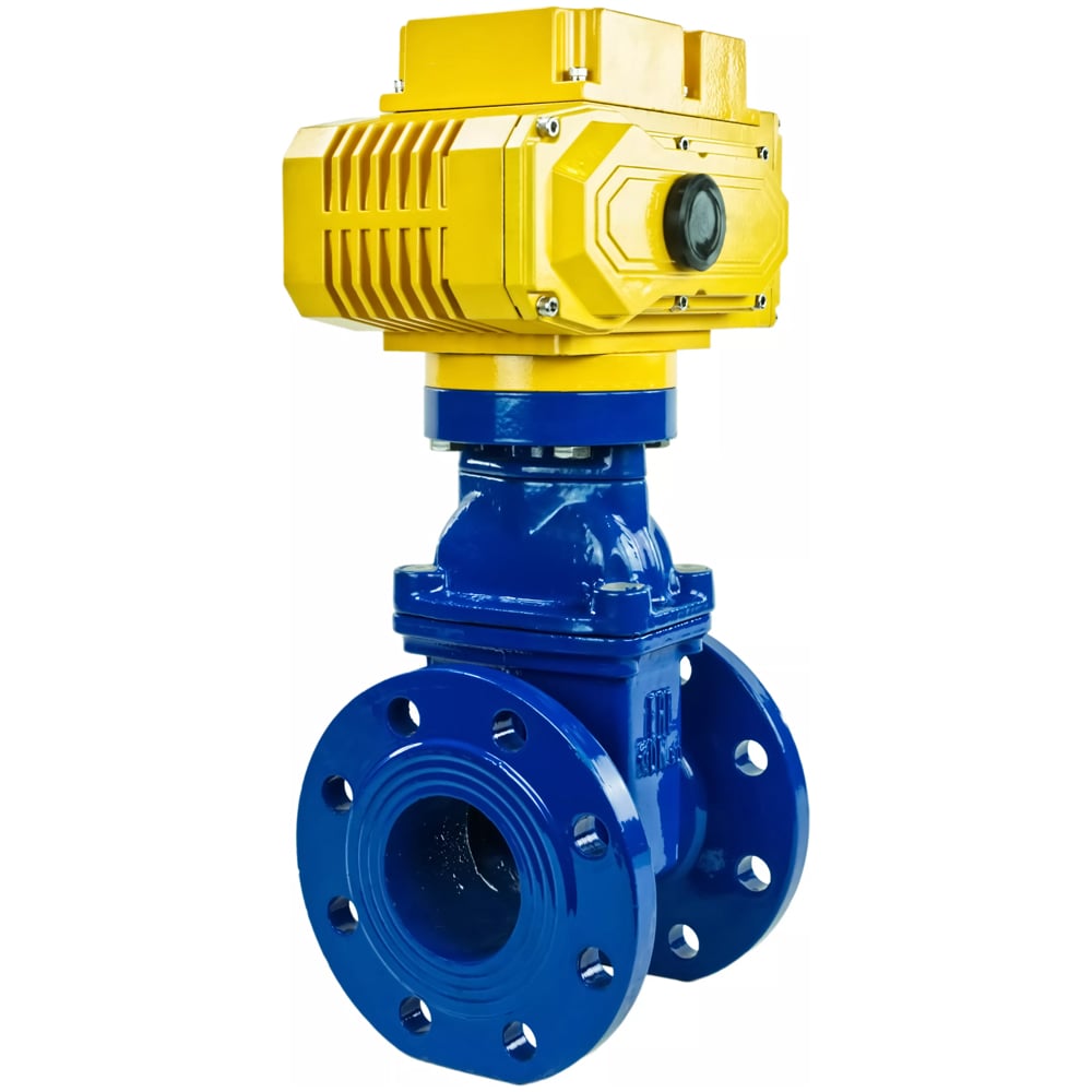 Задвижка с обрезиненным клином pn16 dn50. Задвижка pn16 dn100 ggg40. Задвижкa dn100 pn16ggg50. Задвижка ggg. Задвижка dn50 pn16 ggg40.