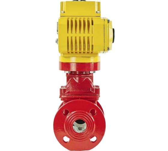 Клиновая задвижка DN.ru 30ч939р ggg50-epdm-f4-red ду125 ру16, электропривод mt-200 380в D040-00736