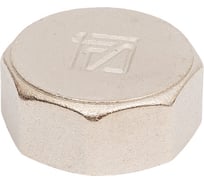 Заглушка STI 1 ВР никелир. 2614