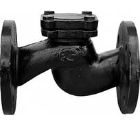 Обратный клапан Ci 16кч9нж фланцевый 50 Т0000000122