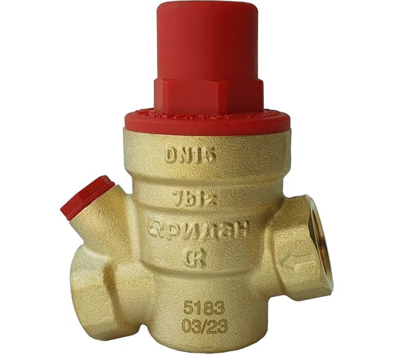 Редуктор давления Ридан 7biz pn16 dn15 в блистере 0,6 мм 082X4140LM