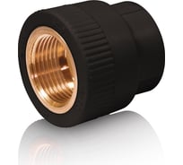 Комбинированная муфта Blue Ocean ВР 32x1" UV-pro (12/96) Black PPRF/IA-UV(Bk)-32х1"