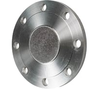 Стальная фланцевая заглушка DN.ru ду150 ру16 атк 24.200.02.90 D270-00265