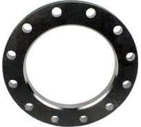 Фланец плоский DN.ru ФПП Ду200 Ру16 сталь SS304 тип 01 ряд 1 исп. B гр. IV ГОСТ 33259-2015 D270-08187