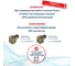 Соленоидный клапан прямого типа с мембраной принудительного подъёма ArTorq 2/2 нормально закрыт, G 1”, корпус латунь, SK25L200GN.24DC 31