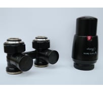 Комплект для прямого подключения с термоголовкой Vario Term Premium Eleganckie чёрный матовый EPRNYGS0224C/FP