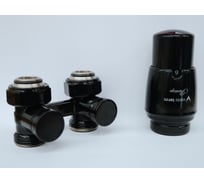 Комплект для прямого подключения с термоголовкой Vario Term Premium Eleganckie чёрный глянцевый EPRNYGS0213C/FP