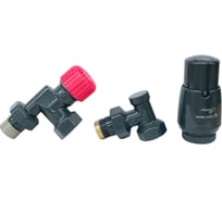 Комплект для подключения радиатора с термоголовкой Vario Term Axi Eleganckie антрацит/графит глянцевый EAXIGS0207C