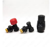 Комплект для углового подключения с термоголовкой Vario Term Elegant чёрный матовый ELGS0224C/FK