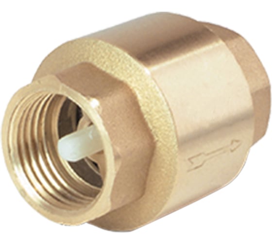 Клапан обратный FAF 4300 ду25 ру16 пружинный, латунный D100-03140 1