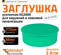 Заглушка ливневой канализации Ostendorf 315 мм 777820