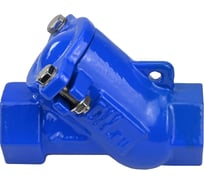 Обратный шаровой клапан DN.ru GGG50-NBR-SteelNBR-80-T Ду15 Ру16 резьбовой, чугунный D100-02984