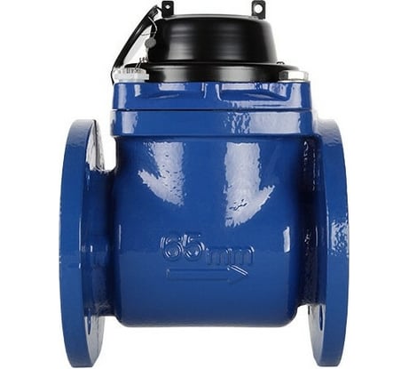 Счетчик воды Норма ИС СТВ-65Х 100066