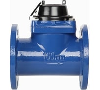 Счетчик воды Норма ИС СТВ-100Х 100070