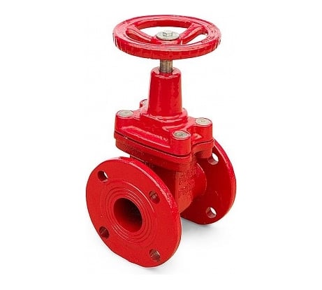 Задвижка Ci 30ч39р (Г) 50 с обрезиненным клином 00000004956