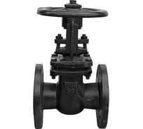 Задвижка Ci 30ч6бр 80 00000003333