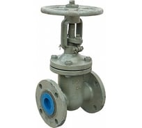 Задвижка Ci аналог 30с41нж 80 00000003656