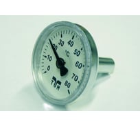 Термометр для коллектора Tiemme 1790006/2070T403080