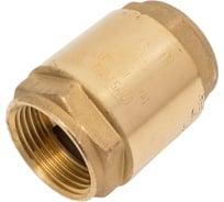 Обратный клапан Giacomini R60, дисковый, 1, ВВ, PN, бар-16 R60Y005
