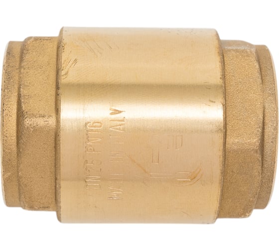 Обратный клапан Giacomini R60, дисковый, 1, ВВ, PN, бар-16 R60Y005