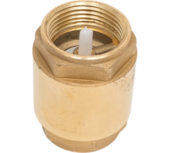 Обратный клапан Giacomini R60, дисковый, 1, ВВ, PN, бар-16 R60Y005