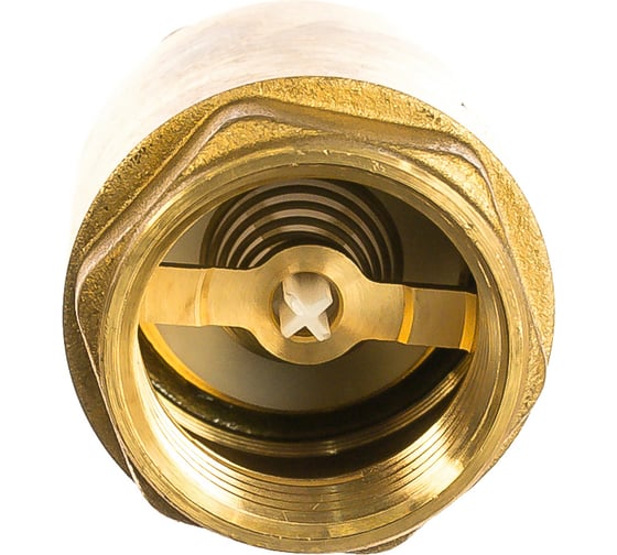 Обратный клапан Giacomini R60, дисковый, 1, ВВ, PN, бар-16 R60Y005 ...