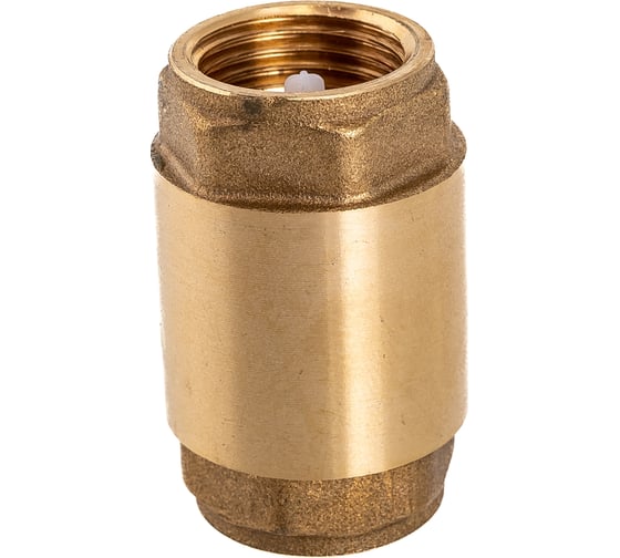 Обратный клапан Giacomini R60, дисковый, 1/2, ВВ, PN, бар-16 R60Y003