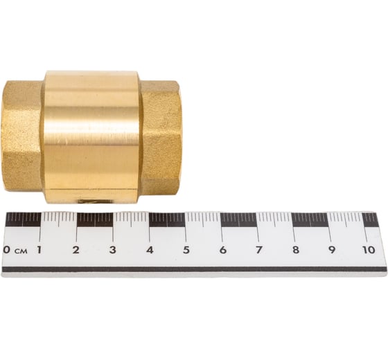 Клапан обратный Sanext ВР 3/4" 8531