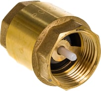 Обратный клапан СТМ 1" CBCV0001