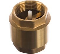 Обратный клапан СТМ 1-1/4 CBCV0114