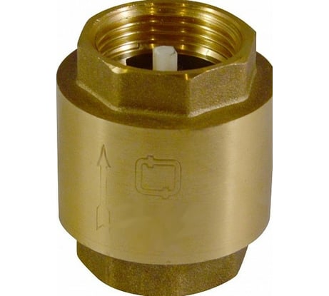 Обратный клапан СТМ 2" CBCV0002