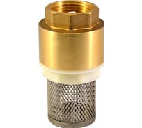 Обратный клапан СТМ с сеткой 2" CBCVF002