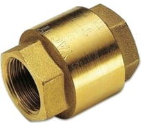 Пружинный обратный клапан Tiemme Yacht с пластиковым затвором, ВВ, 1"1/2 3500008