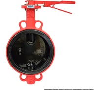 Дисковый поворотный межфланцевый затвор Архимед, ручной, ДУ250, РУ16, чугунный, диск чугун AZ341-250-16