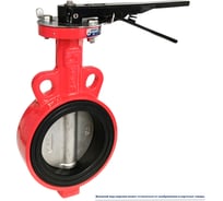 Затвор дисковый поворотный межфланцевый ручной Архимед ДУ100 РУ16 чугунный, диск нержавеющая сталь AZ331-100-16P