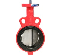 Затвор дисковый поворотный межфланцевый голый шток Архимед ДУ100 РУ16 чугунный, диск нержавеющая сталь AZ331-100-16N