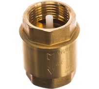 Клапан обратный ДЖИЛЕКС VAR 1" магистральный 2332