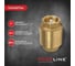 Клапан обратный PROFLINE 1", пластиковый сердечник УТ-00041575 3